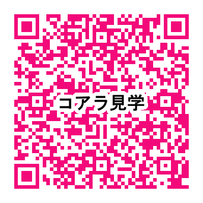 QR_110066