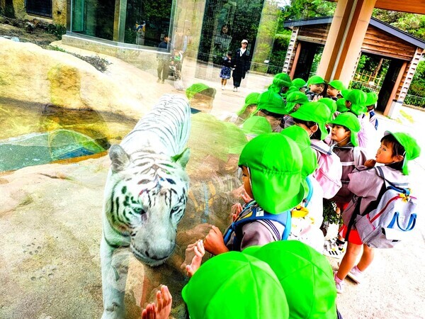 いしかわ動物園遠足(4・5歳児)